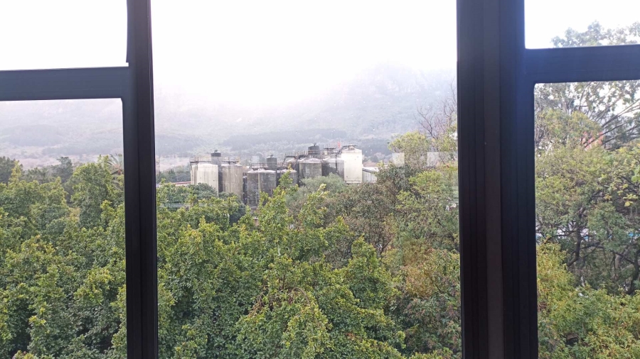 To Let commercial Property for Rent in Newlands Western Cape